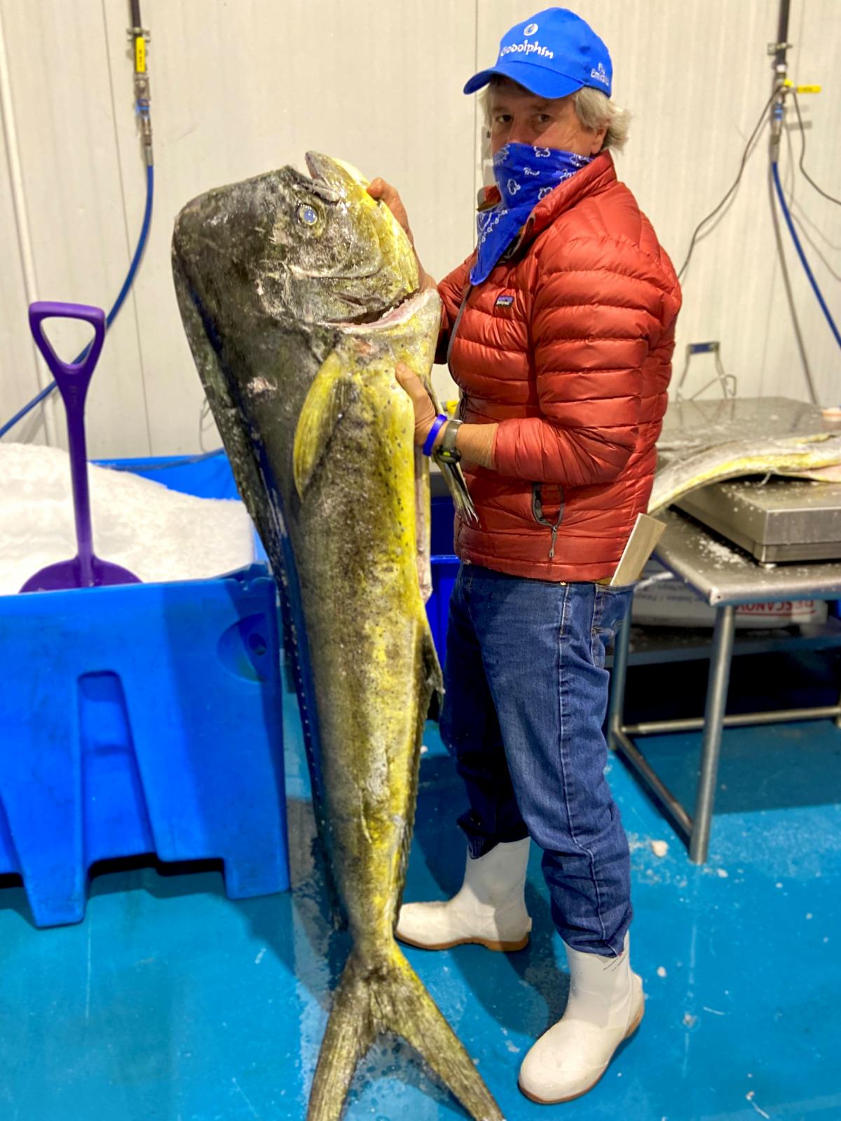 Our Latest Seafood Specials What Chefs Want!