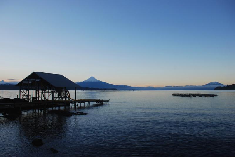 Verlasso Salmon – New lower pricing!