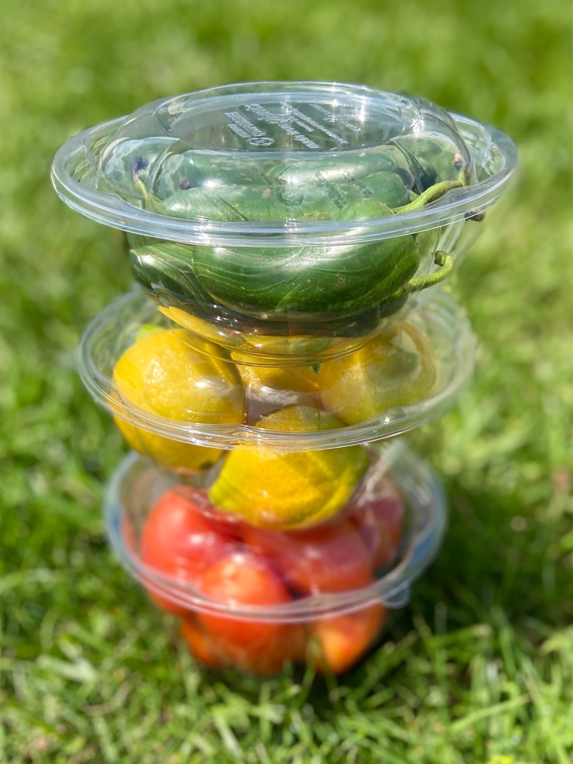 24oz Salad Bowls To-Go with Lids (300 Count) - Clear Plastic