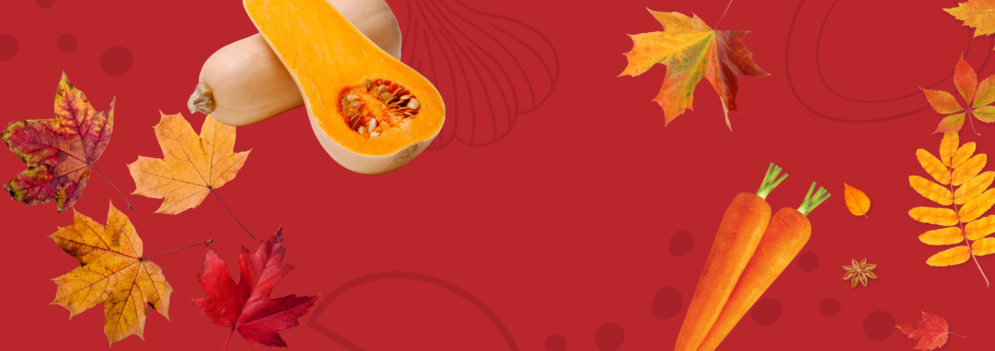 Fall into Flavor: Inspiring Autumn Recipes with What Chefs Want
