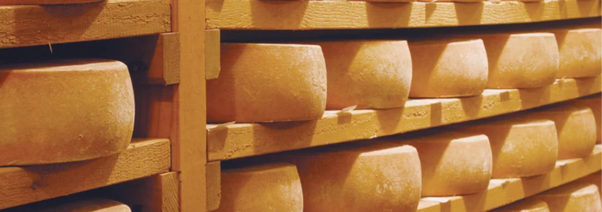 Say Cheese! Why Restaurants Should Stock Up on Cheese Merchants’ Best