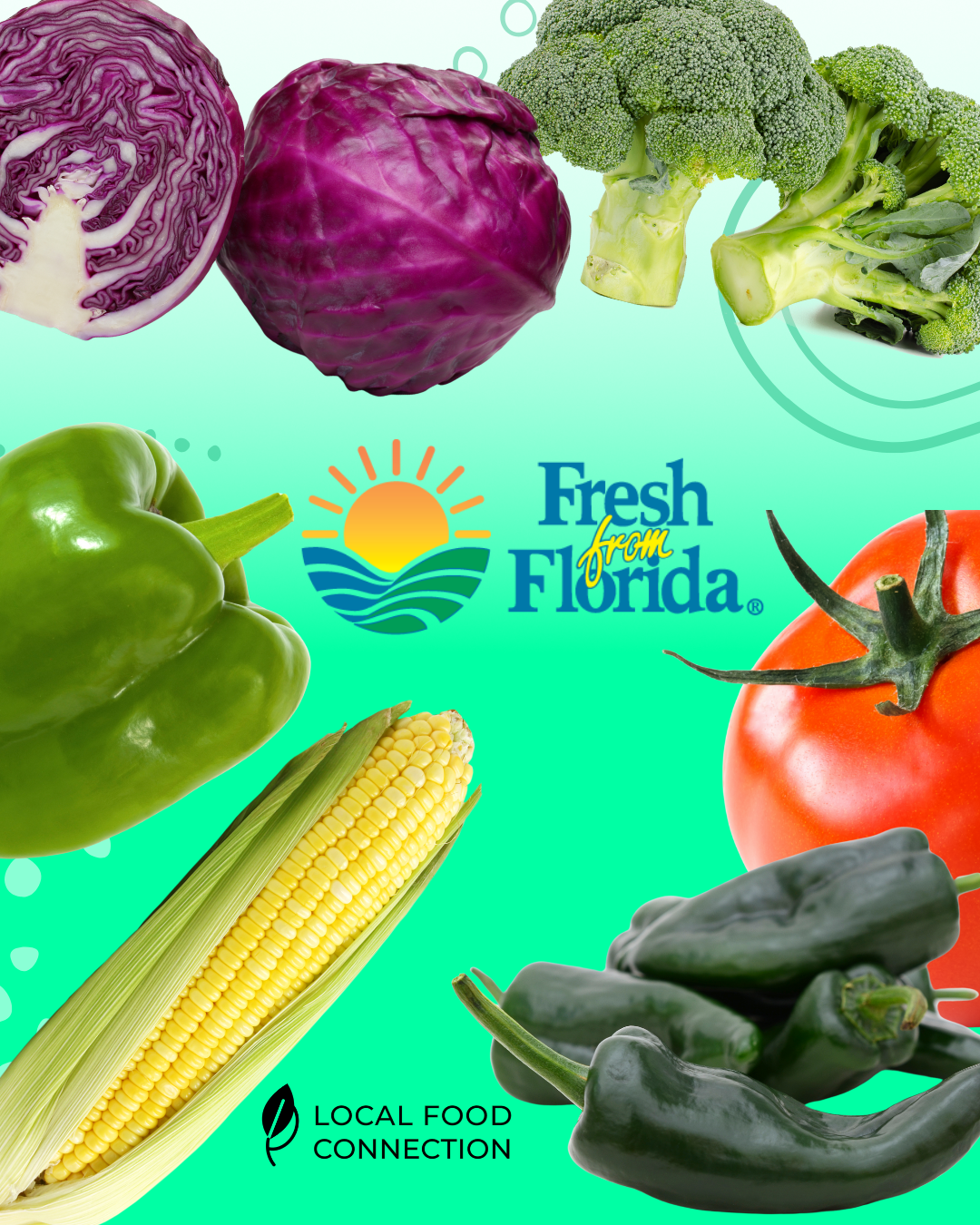 Fresh from Florida featuring fruits and vegetables grown in Florida