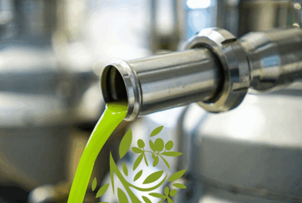 extra virgin olive oil